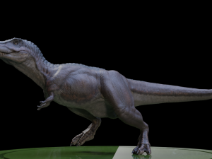 3dtirano 3D Model
