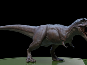 3dtirano 3D Model