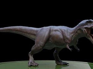 3dtirano 3D Model