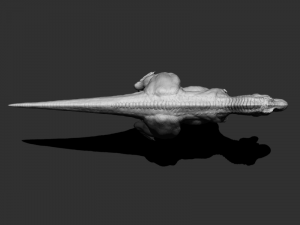 3dtirano 3D Model