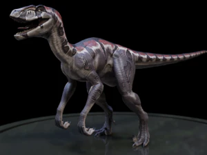 3dvelociraptor 3D Model