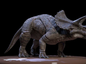3d triceratops 3D Model