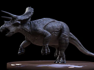 3d triceratops 3D Model