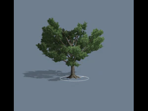 simple tree 01 3D Model