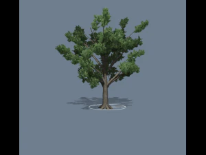 simple tree 01 3D Model
