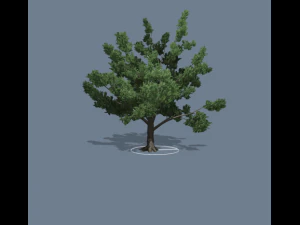 simple tree 01 3D Model