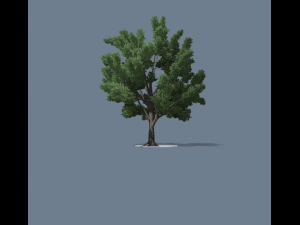 simple tree 01 Model 3D