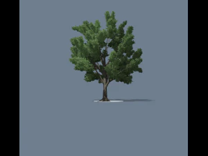 simple tree 01 3D Model