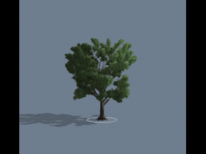 simple tree 01 Model 3D
