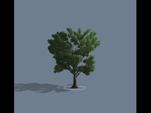 simple tree 01 3D Model