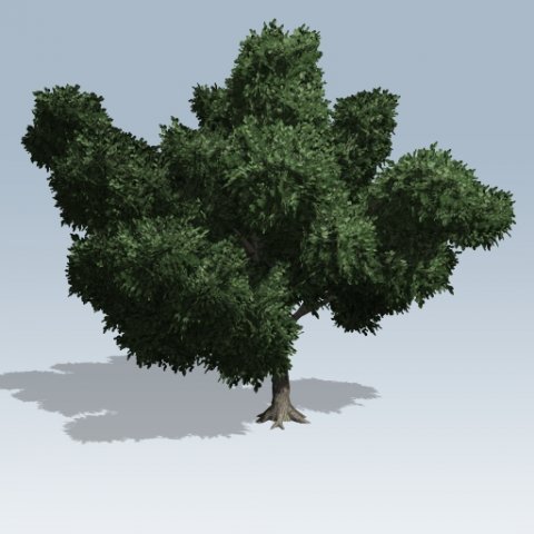 simple tree 02 3D Model .c4d .max .obj .3ds .fbx .stl .blend 