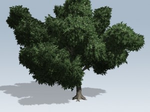 simple tree 02 3D Model