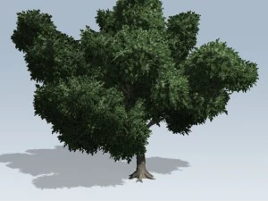 シンプルツリー02 3Dモデル