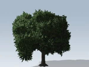 シンプルツリー02 3Dモデル