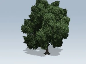 シンプルツリー02 3Dモデル