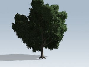 simple tree 02 3D Model