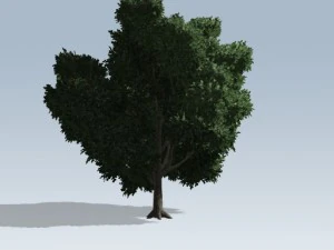 シンプルツリー02 3Dモデル