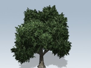 simple tree 02 3D Model