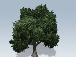シンプルツリー02 3Dモデル