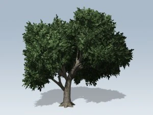 シンプルツリー02 3Dモデル