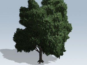 simple tree 02 3D Model