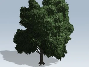 シンプルツリー02 3Dモデル
