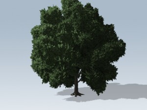 simple tree 02 3D Model
