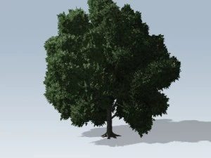 シンプルツリー02 3Dモデル