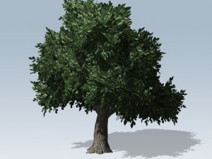 simple tree 02 3D Model