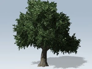 シンプルツリー02 3Dモデル