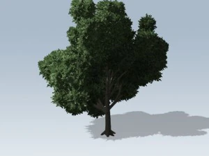 シンプルツリー02 3Dモデル