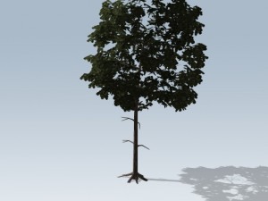 simple tree 03 3D Model