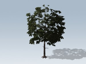 simple tree 03 3D-Modell