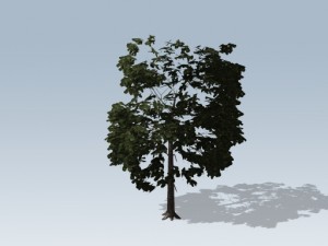 simple tree 03 3D-Modell
