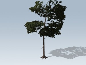 simple tree 03 3D-Modell