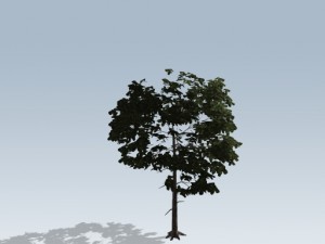 simple tree 03 3D-Modell