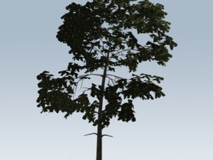 simple tree 03 3D-Modell