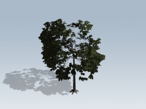 simple tree 03 3D-Modell