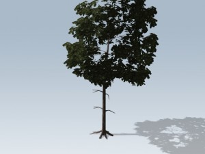 simple tree 03 3D-Modell