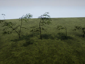 tree 01 3D Model