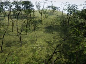 tree 01 3D Model