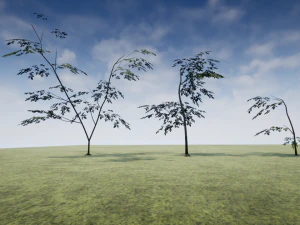 tree 01 3D Model