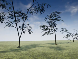 tree 01 3D Model