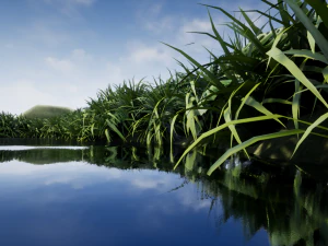 pacchetto natura 02 Modello 3D