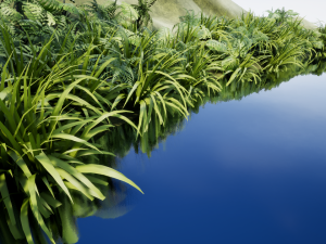 nature pack 02 Modello 3D