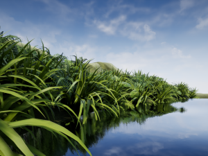 nature pack 02 Modello 3D