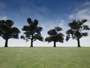 albero 02 Modello 3D