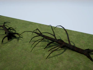 albero 02 Modello 3D