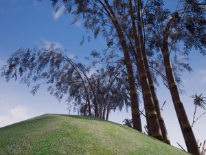 漫画の木03 3Dモデル