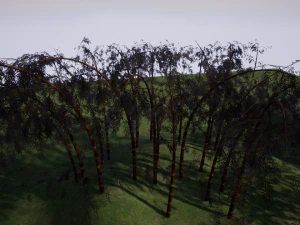 cartoon tree 03 3D Model